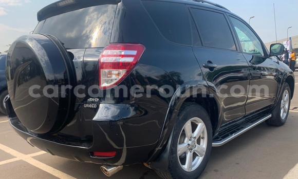Buy Used Toyota RAV4 Black Car in Yaounde in Central Cameroon Buy Used Toyota RAV4 Black Car in Yaounde in Central Cameroon