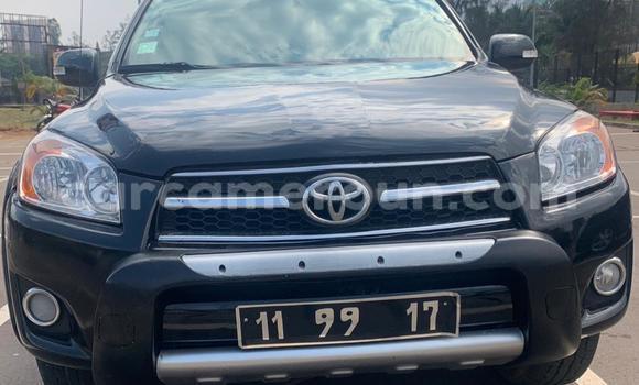 Buy Used Toyota RAV4 Black Car in Yaounde in Central Cameroon Buy Used Toyota RAV4 Black Car in Yaounde in Central Cameroon