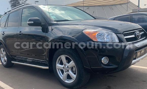 Buy Used Toyota RAV4 Black Car in Yaounde in Central Cameroon Buy Used Toyota RAV4 Black Car in Yaounde in Central Cameroon