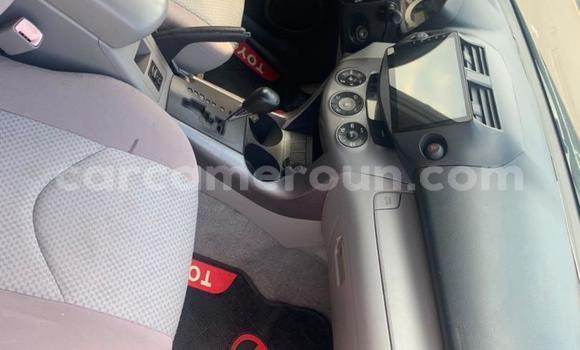 Buy Used Toyota RAV4 Black Car in Yaounde in Central Cameroon Buy Used Toyota RAV4 Black Car in Yaounde in Central Cameroon