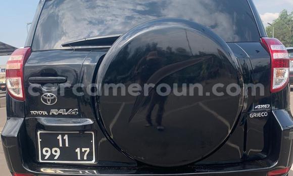 Buy Used Toyota RAV4 Black Car in Yaounde in Central Cameroon Buy Used Toyota RAV4 Black Car in Yaounde in Central Cameroon