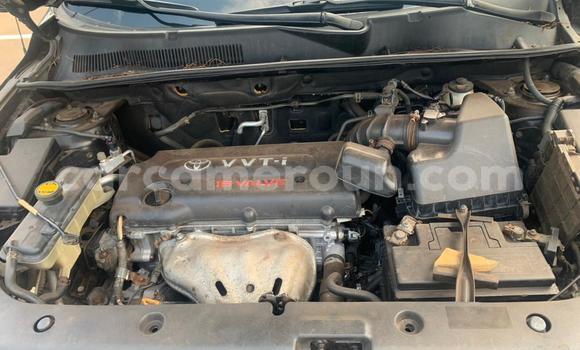 Buy Used Toyota RAV4 Black Car in Yaounde in Central Cameroon Buy Used Toyota RAV4 Black Car in Yaounde in Central Cameroon