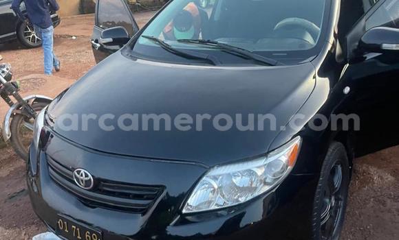 Buy Used Toyota Corolla Black Car in Yaounde in Central Cameroon