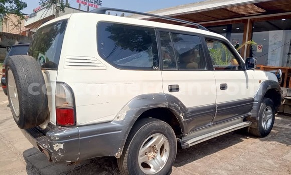 Sayi Na hannu Toyota Land Cruiser Prado White Mota in Yaounde a Babban Kamaru Sayi Na hannu Toyota Land Cruiser Prado White Mota in Yaounde a Babban Kamaru