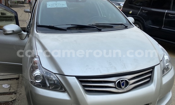 Acheter Import Voiture Toyota Blade Gris à Douala, Littoral Cameroon