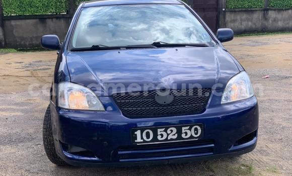 Acheter Occasion Voiture Toyota Corolla Bleu à Douala, Littoral Cameroon Acheter Occasion Voiture Toyota Corolla Bleu à Douala, Littoral Cameroon