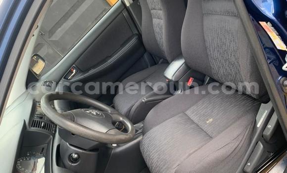 Sayi Na hannu Toyota Corolla Blue Mota in Douala a Ƙasar Kamaru Sayi Na hannu Toyota Corolla Blue Mota in Douala a Ƙasar Kamaru