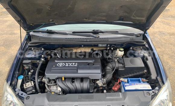 Sayi Na hannu Toyota Corolla Blue Mota in Douala a Ƙasar Kamaru Sayi Na hannu Toyota Corolla Blue Mota in Douala a Ƙasar Kamaru