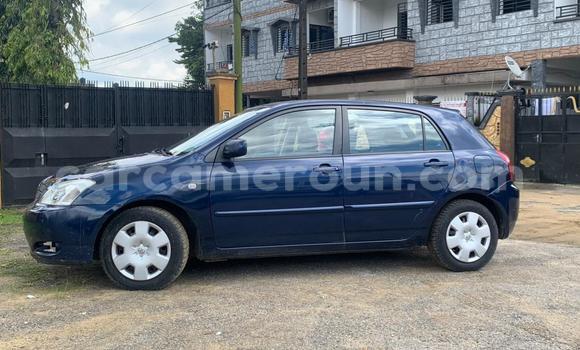 Sayi Na hannu Toyota Corolla Blue Mota in Douala a Ƙasar Kamaru Sayi Na hannu Toyota Corolla Blue Mota in Douala a Ƙasar Kamaru