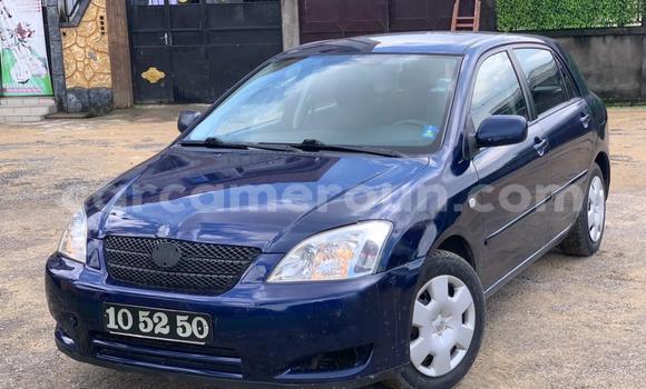 Sayi Na hannu Toyota Corolla Blue Mota in Douala a Ƙasar Kamaru Sayi Na hannu Toyota Corolla Blue Mota in Douala a Ƙasar Kamaru
