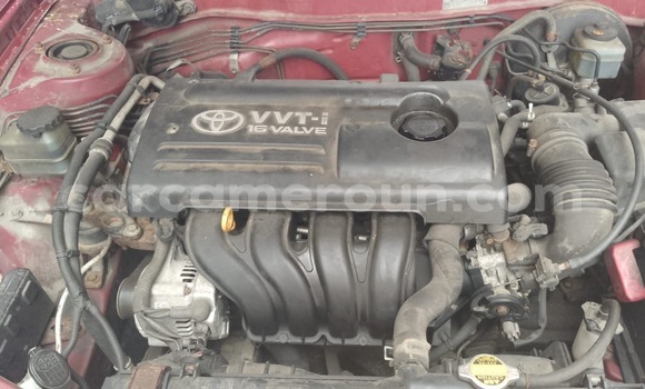 Acheter Neuf Voiture Toyota Corolla Rouge à Douala, Littoral Cameroon Acheter Neuf Voiture Toyota Corolla Rouge à Douala, Littoral Cameroon