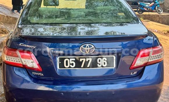 Buy Used Toyota Camry Blue Car in Yaounde in Central Cameroon Buy Used Toyota Camry Blue Car in Yaounde in Central Cameroon