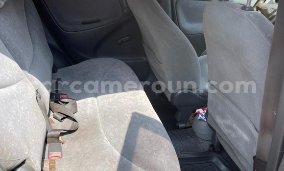 Buy Used Toyota Yaris Black Car in Yaounde in Central Cameroon Buy Used Toyota Yaris Black Car in Yaounde in Central Cameroon