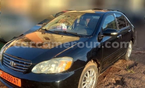 Sayi Na hannu Toyota Corolla Black Mota in Yaounde a Babban Kamaru