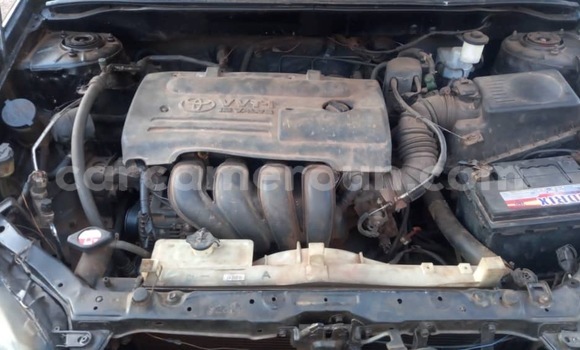 Acheter Occasion Voiture Toyota Corolla Noir à Yaoundé, Central Cameroon Acheter Occasion Voiture Toyota Corolla Noir à Yaoundé, Central Cameroon