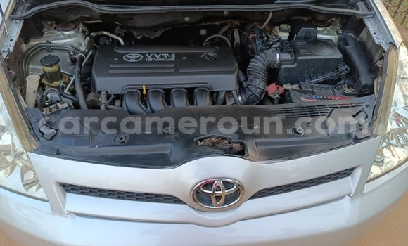 Buy Used Toyota Corolla Silver Car in Yaounde in Central Cameroon Buy Used Toyota Corolla Silver Car in Yaounde in Central Cameroon