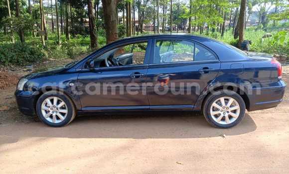 Buy Used Toyota Avensis Blue Car in Yaounde in Central Cameroon Buy Used Toyota Avensis Blue Car in Yaounde in Central Cameroon