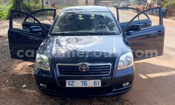 Buy Used Toyota Avensis Blue Car in Yaounde in Central Cameroon Buy Used Toyota Avensis Blue Car in Yaounde in Central Cameroon