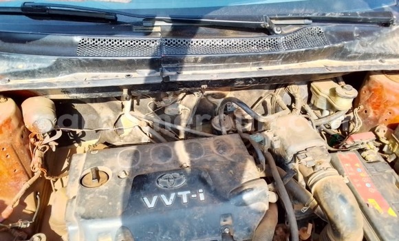 Buy New Toyota Yaris Red Car in Yaounde in Central Cameroon Buy New Toyota Yaris Red Car in Yaounde in Central Cameroon