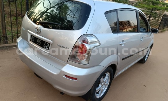 Buy Used Toyota Corolla Silver Car in Yaounde in Central Cameroon Buy Used Toyota Corolla Silver Car in Yaounde in Central Cameroon