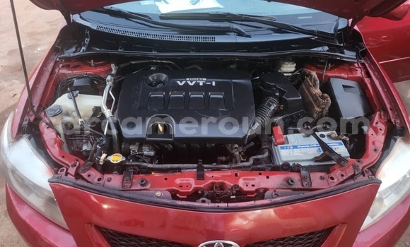 Sayi Sabo Toyota Corolla Red Mota in Yaounde a Babban Kamaru Sayi Sabo Toyota Corolla Red Mota in Yaounde a Babban Kamaru