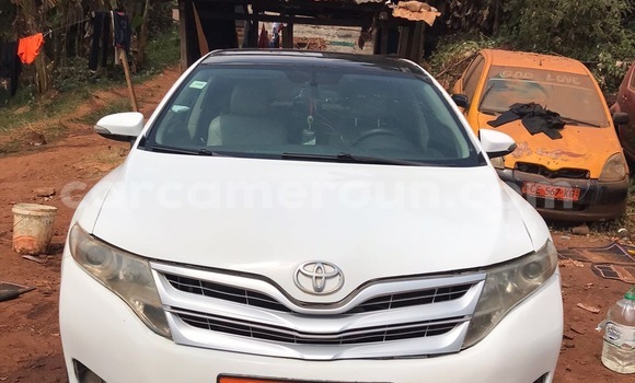 Buy New Toyota Venza White Car in Yaounde in Central Cameroon