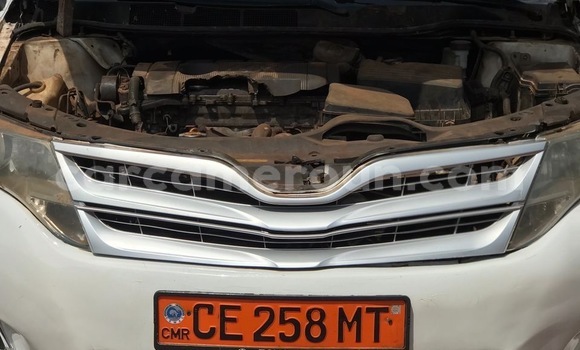 Buy New Toyota Venza White Car in Yaounde in Central Cameroon Buy New Toyota Venza White Car in Yaounde in Central Cameroon