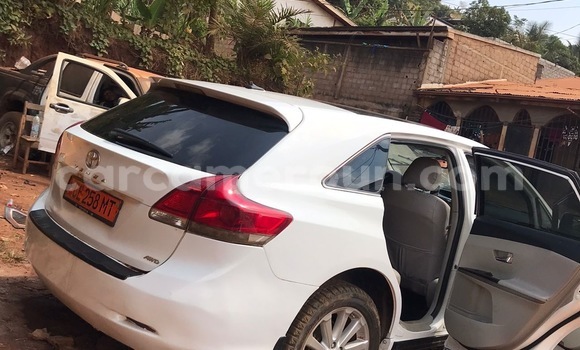 Buy New Toyota Venza White Car in Yaounde in Central Cameroon Buy New Toyota Venza White Car in Yaounde in Central Cameroon