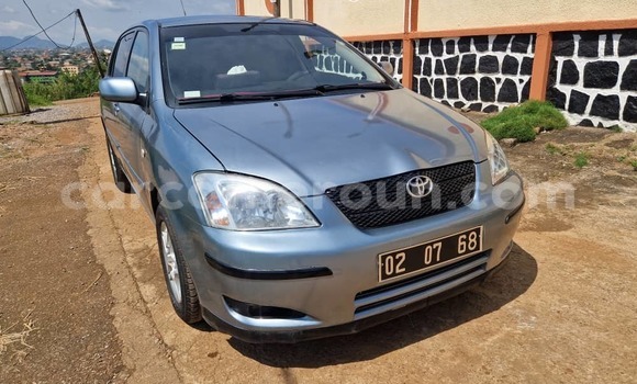 Buy Used Toyota Corolla Silver Car in Yaounde in Central Cameroon