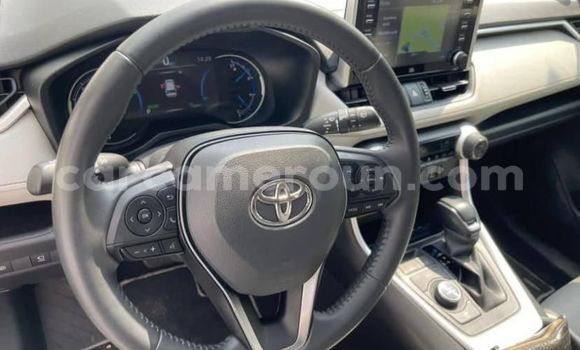 Buy Used Toyota RAV4 Red Car in Douala in Littoral Cameroon