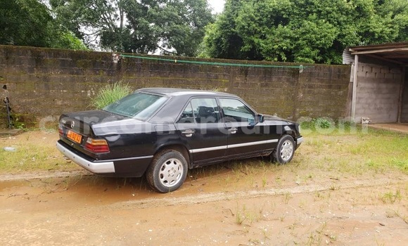 Buy New Mercedes‒Benz 250 Black Car in Douala in Littoral Cameroon Buy New Mercedes‒Benz 250 Black Car in Douala in Littoral Cameroon