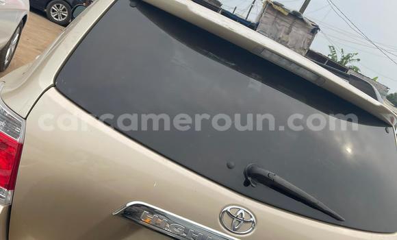 Buy Used Toyota Highlander Beige Car in Douala in Littoral Cameroon Buy Used Toyota Highlander Beige Car in Douala in Littoral Cameroon