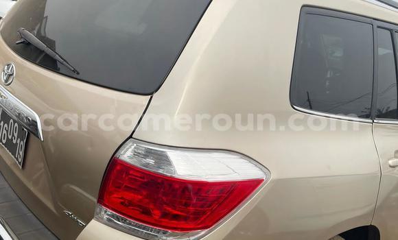 Buy Used Toyota Highlander Beige Car in Douala in Littoral Cameroon Buy Used Toyota Highlander Beige Car in Douala in Littoral Cameroon