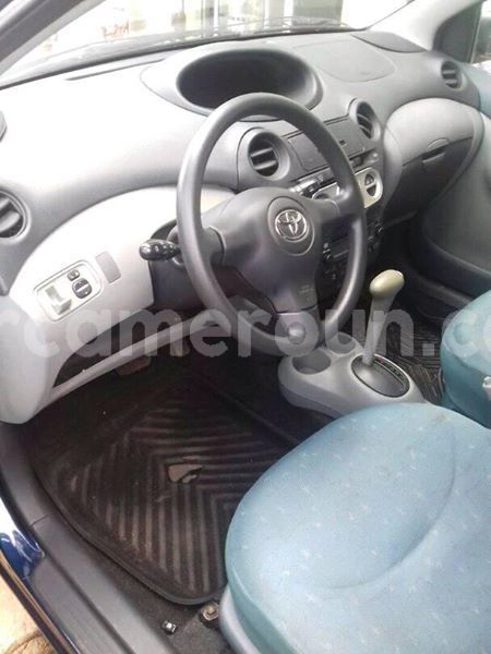 Big with watermark 30629329 194112211393369 244064733525704704 n