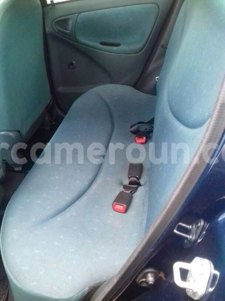 Big with watermark 30713367 2109701875916457 3681336901257956076 n