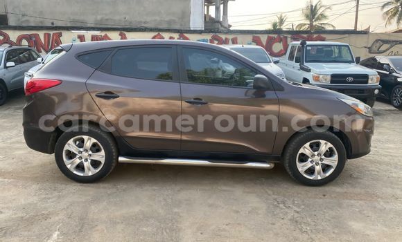 Acheter Occasion Voiture Hyundai Tucson Marron à Douala, Littoral Cameroon Acheter Occasion Voiture Hyundai Tucson Marron à Douala, Littoral Cameroon