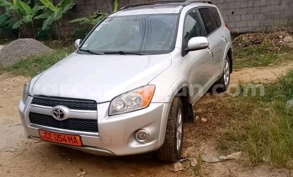Buy Used Toyota RAV4 Silver Car in Douala in Littoral Cameroon