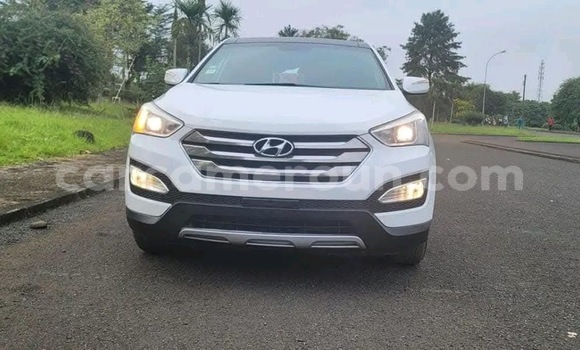 Buy New Hyundai Santa Fe White Car in Douala in Littoral Cameroon