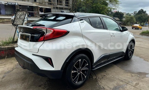 Acheter Neuf Voiture Toyota C-HR Autre à Buea, Southwest Cameroon