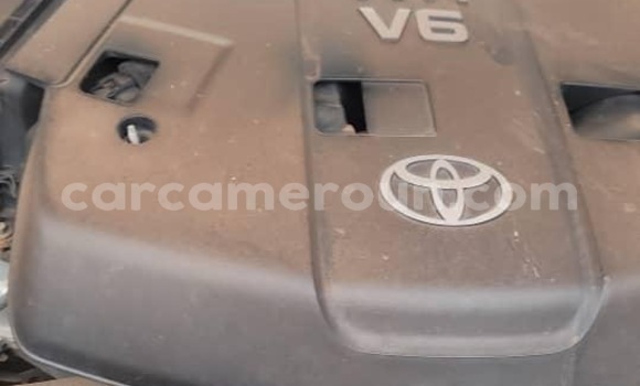 Buy New Toyota Land Cruiser Prado Black Car in Yaounde in Central Cameroon Buy New Toyota Land Cruiser Prado Black Car in Yaounde in Central Cameroon