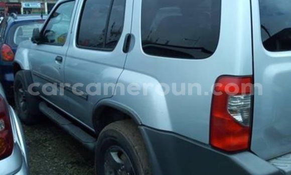 Acheter Occasion Voiture Nissan Xterra Gris à Douala, Littoral Cameroon