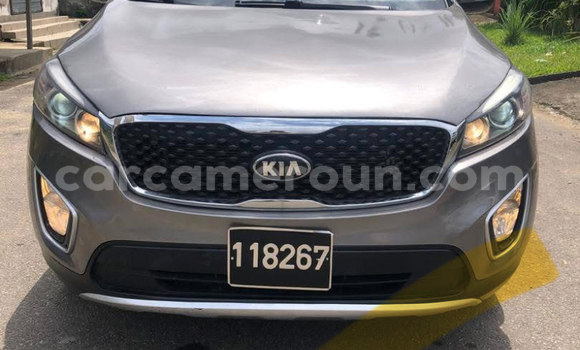 Buy Used Kia Sorento Other Car in Douala in Littoral Cameroon
