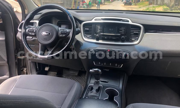 Buy Used Kia Sorento Other Car in Douala in Littoral Cameroon Buy Used Kia Sorento Other Car in Douala in Littoral Cameroon