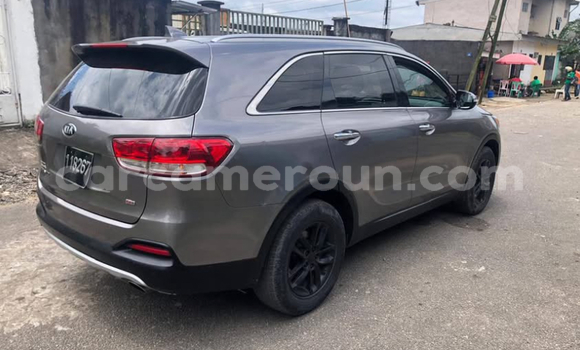 Buy Used Kia Sorento Other Car in Douala in Littoral Cameroon Buy Used Kia Sorento Other Car in Douala in Littoral Cameroon