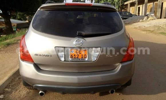 Acheter Occasion Voiture Nissan Murano Gris à Yaoundé, Central Cameroon