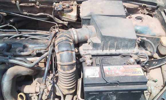 Buy Used Ford Focus Green Car in Yaounde in Central Cameroon Buy Used Ford Focus Green Car in Yaounde in Central Cameroon