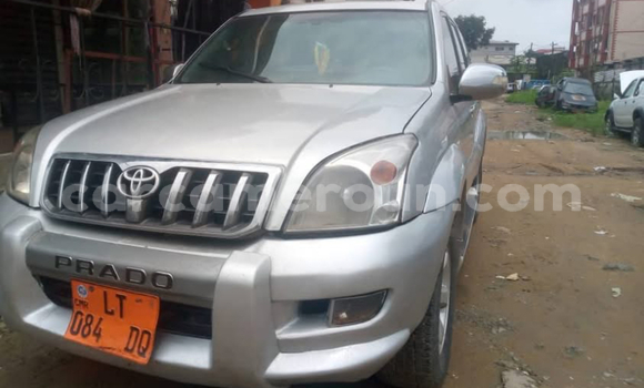 Acheter Occasion Voiture Toyota Land Cruiser Prado Gris à Douala, Littoral Cameroon
