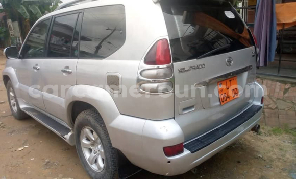 Buy Used Toyota Land Cruiser Prado Silver Car in Douala in Littoral Cameroon Buy Used Toyota Land Cruiser Prado Silver Car in Douala in Littoral Cameroon