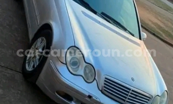 Buy Used Mercedes Viano Silver Car in Yaounde in Central Cameroon