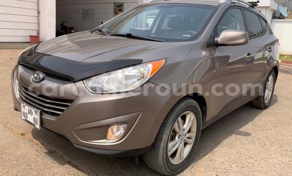 Sayi Na hannu Hyundai Tucson Brown Mota in Douala a Ƙasar Kamaru